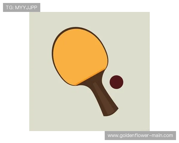 如何选择适合自己的乒乓球拍技巧与注意事项全攻略 如何选择适合自己的乒乓球拍技巧与注意事项全攻略